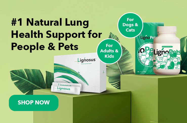 banner-product-presentation
